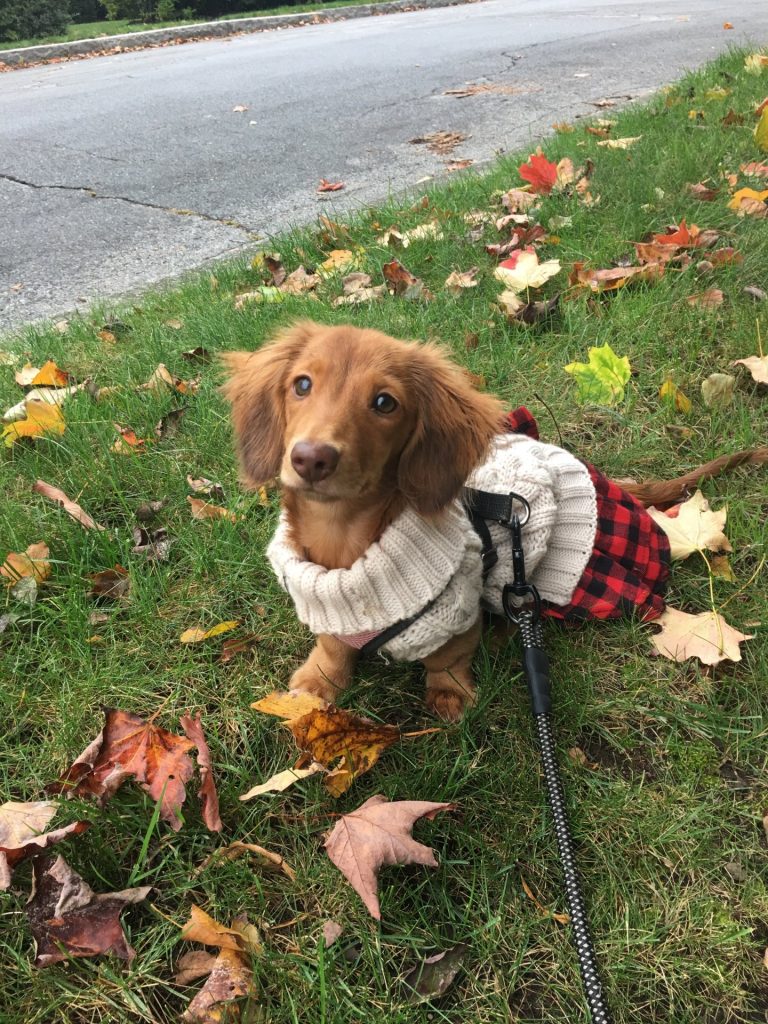“Ruby” resides in Massachusetts