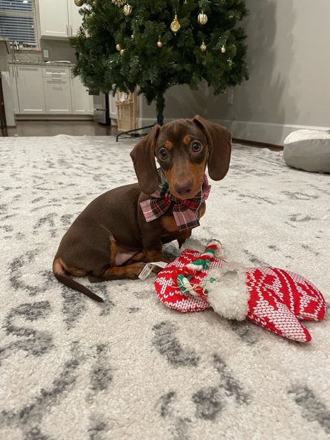 Sasha - lives in Houston, TX