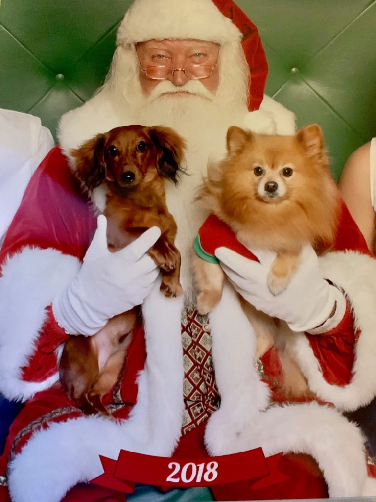 “Brooks” resides with Jewel Hattenbach in Corpus Christi, Texas