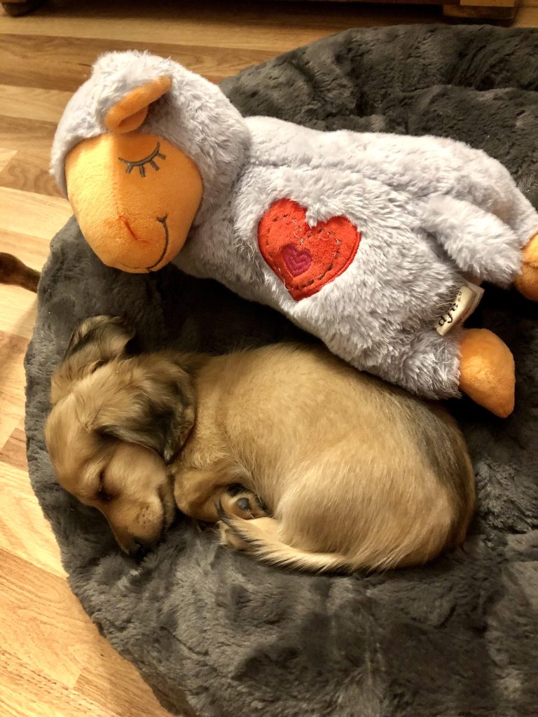Ross - lives in Houston, TX