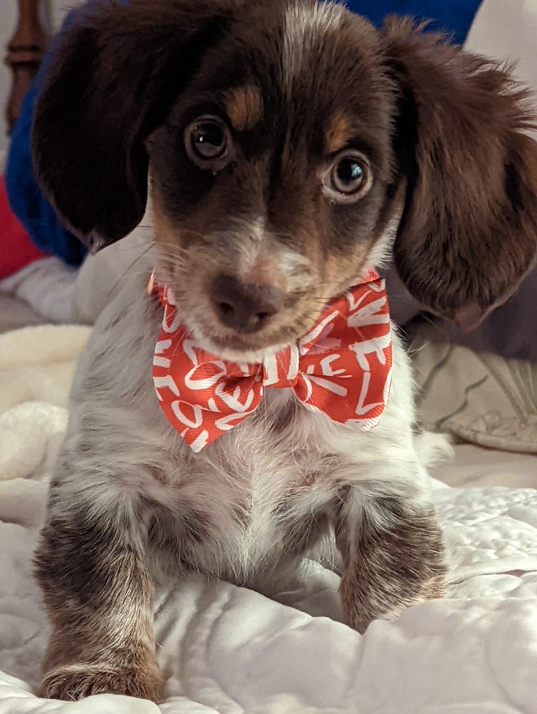 Gus lives in Longview, TX
