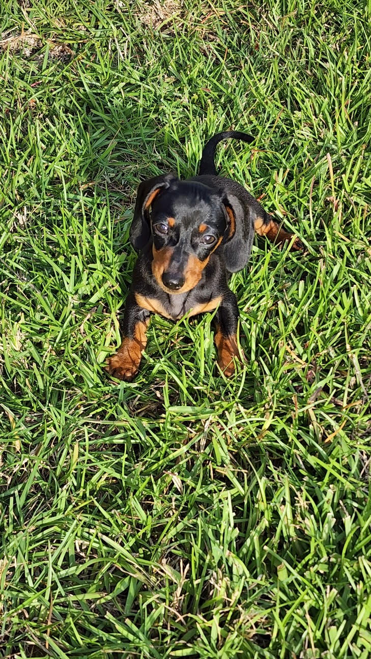 Axle - lives in Haughton, LA