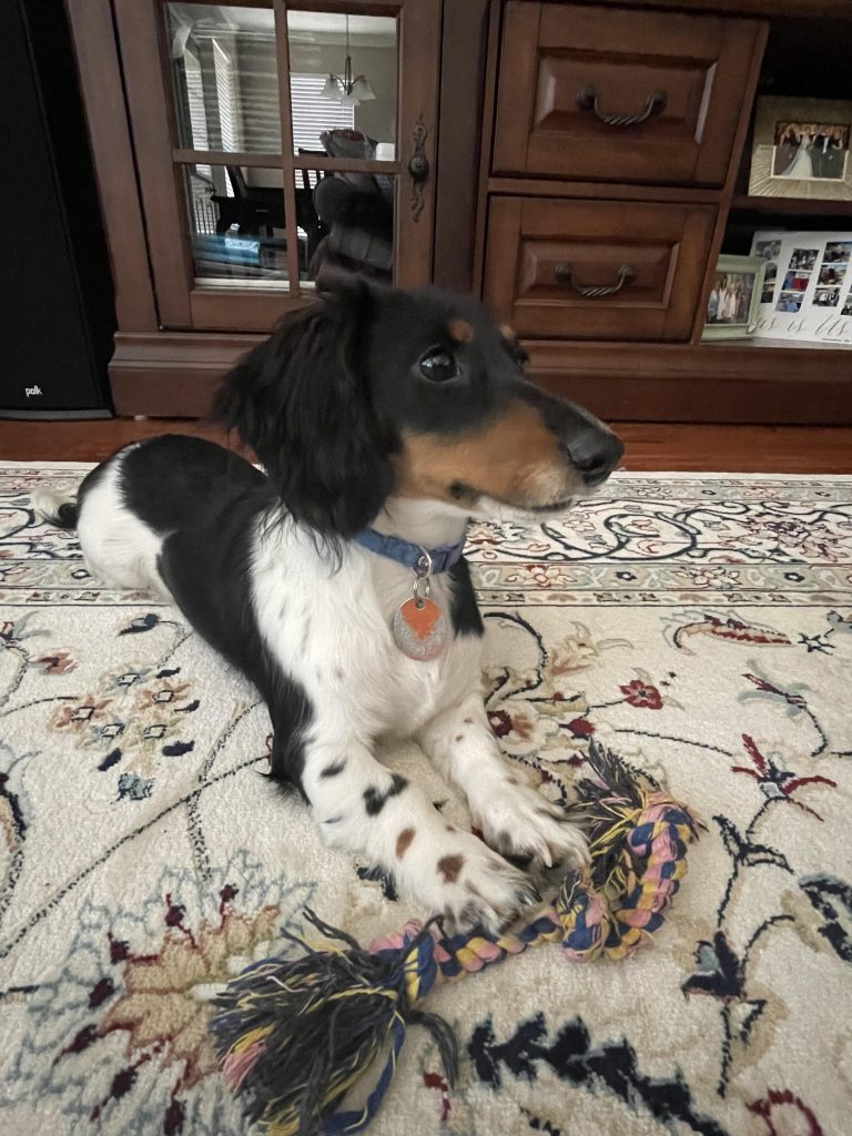 Woody lives in Buda, TX