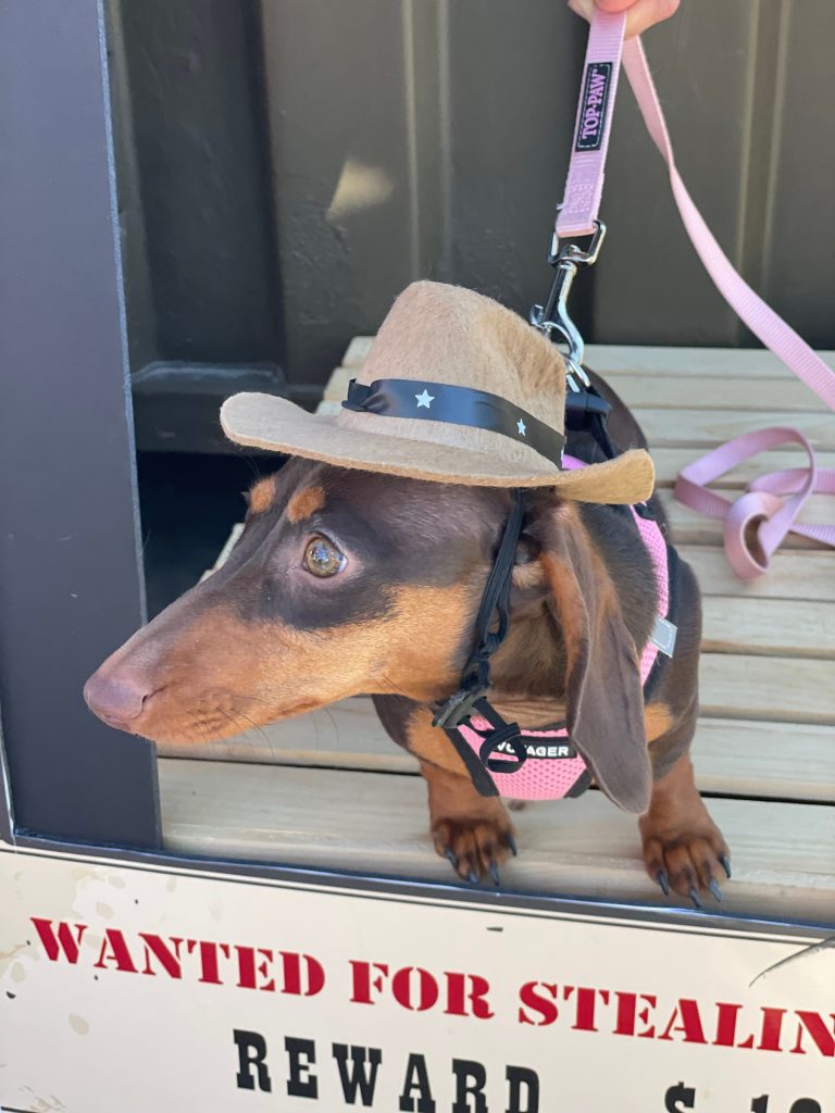 Sasha lives in Houston, TX