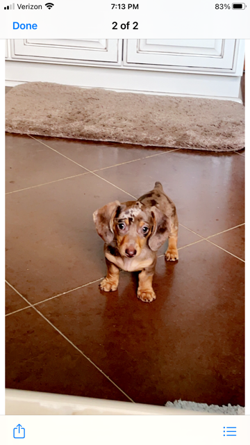 Maggie Mae lives in Natchitoches, LA