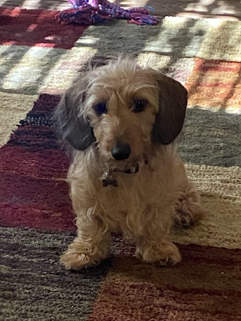 Fiona - lives in Shreveport, LA