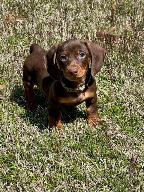 Riley lives in Prosper, Texas