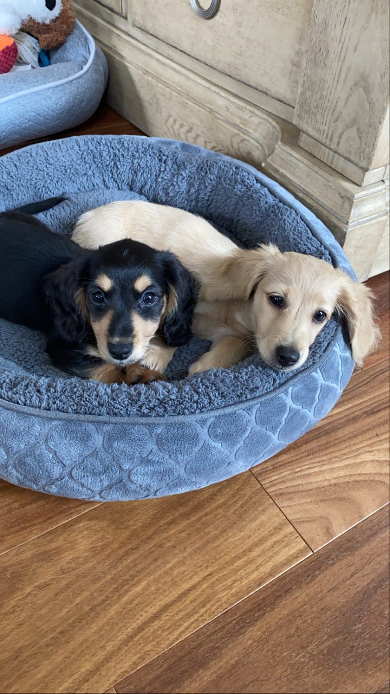Charlie & Margo live in Panama City, FL