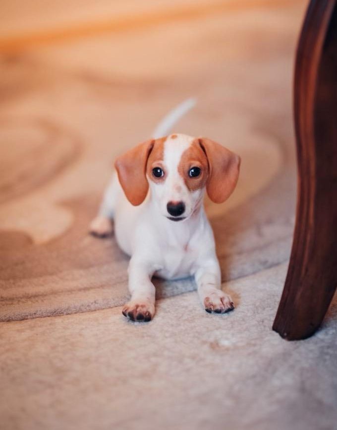 Woody lives in Des Moines, IA