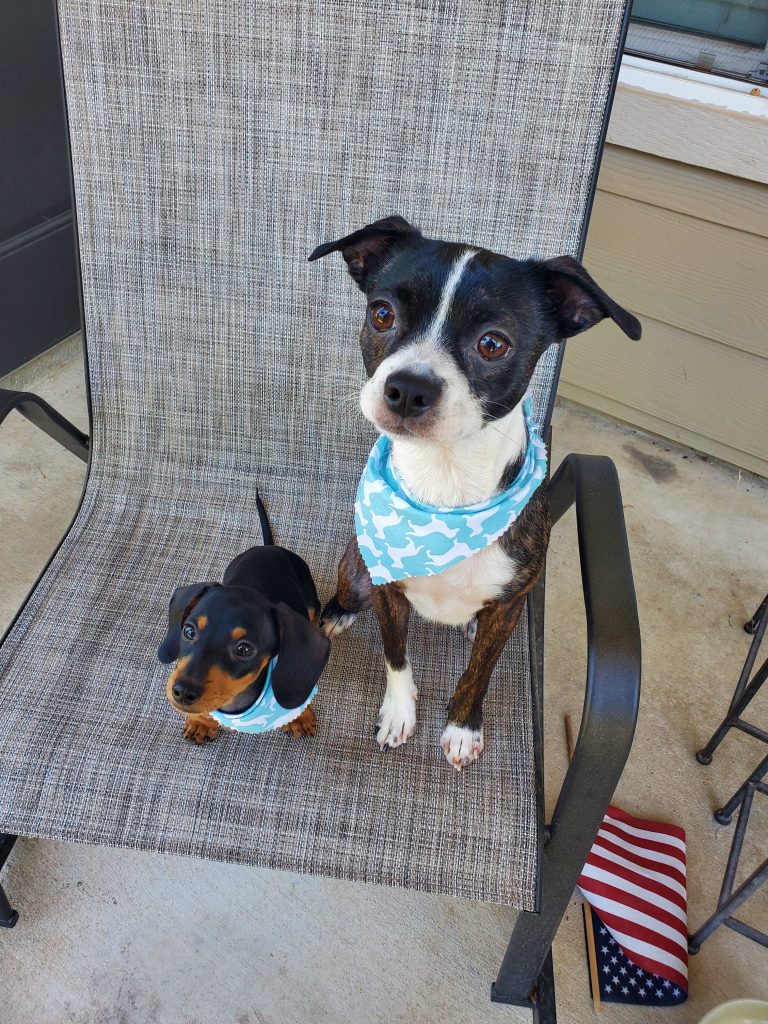 Dash and his big brother live in Bossier City, LA