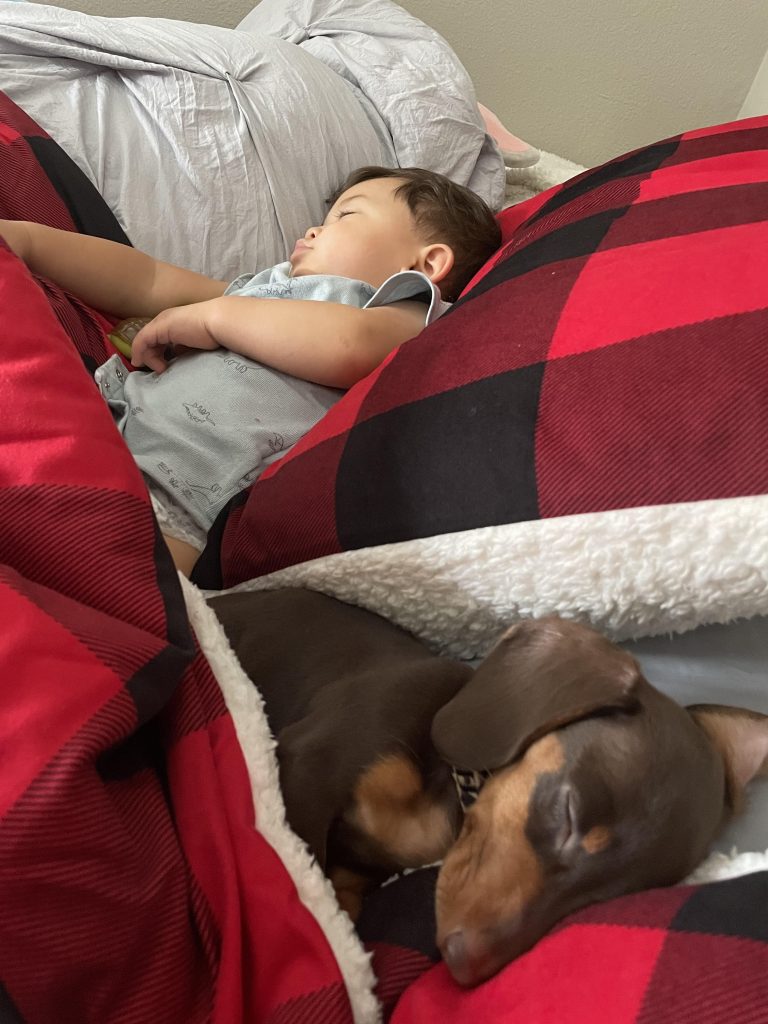 Jade lives in Austin, TX