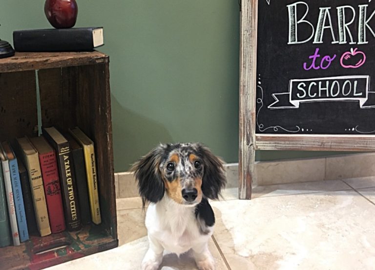 “Cooper” resides with Gabriel in Longview