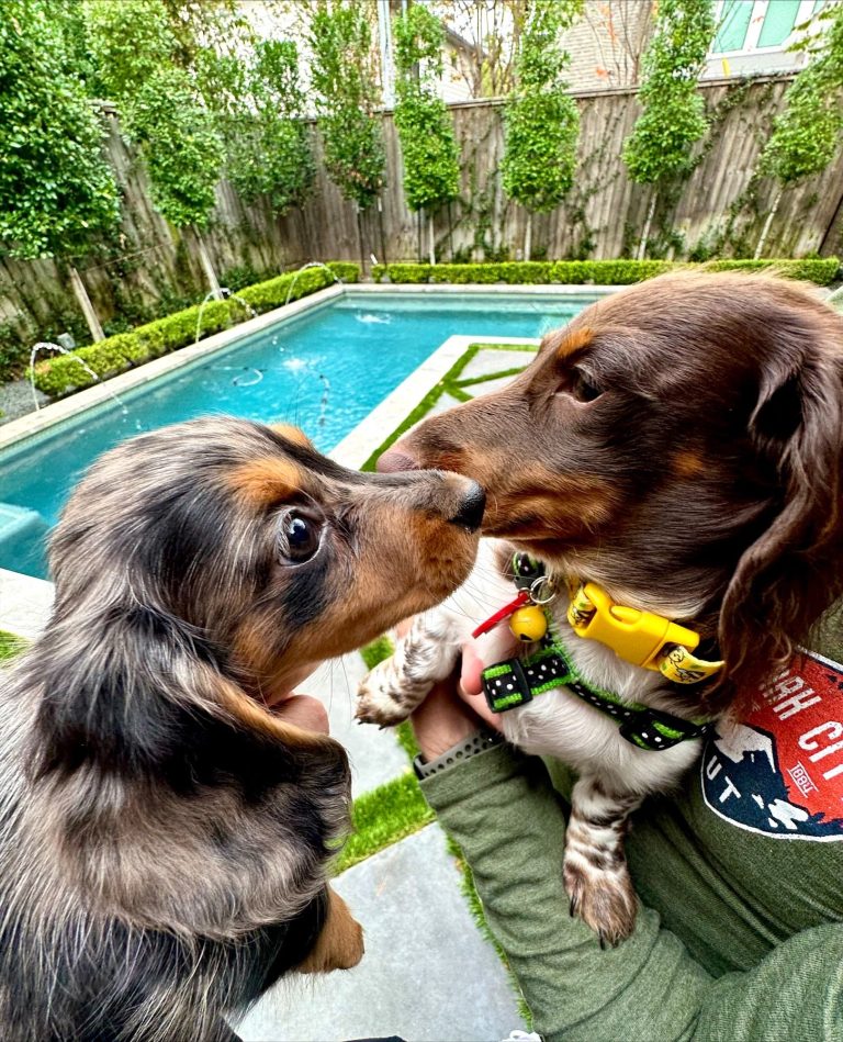 Ellie and her new sister, Piper, live in Houston, TX
