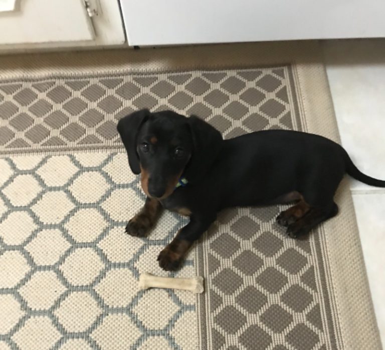 “Millie” resides in Texas