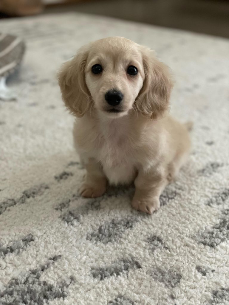 Princess lives in Houston, TX